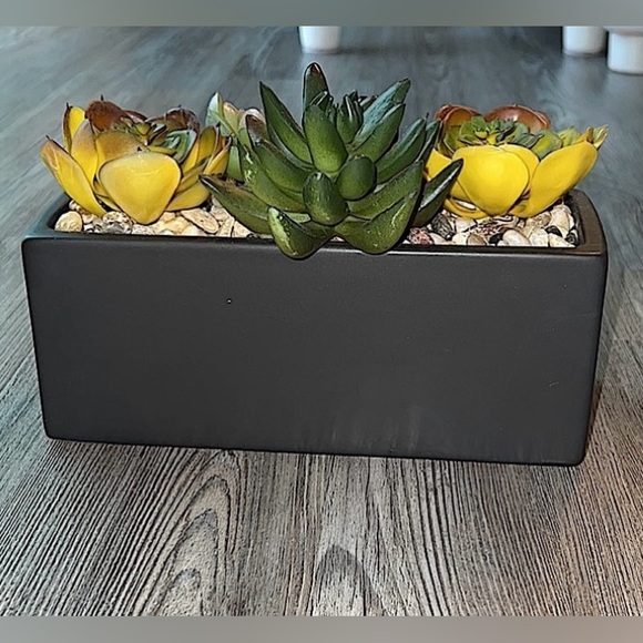 World Market Faux Succulent Arrangement In Ceramic Box-Like New - Picture 2 of 12